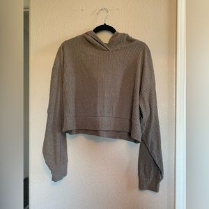 ALO Cropped Hoodie